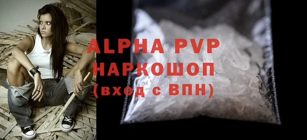 СК Билибино