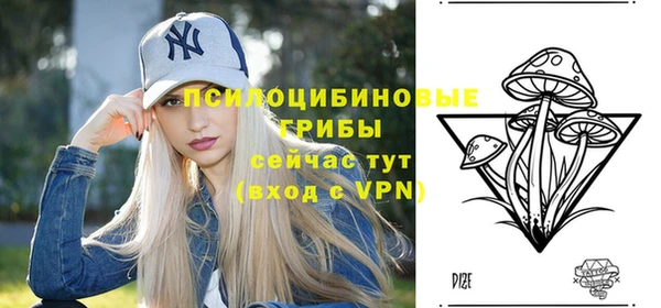 СК Билибино