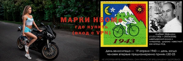 индика Михайловск