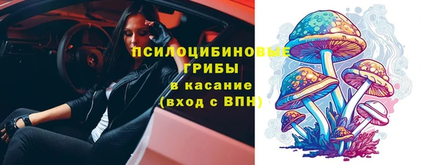 СК Билибино