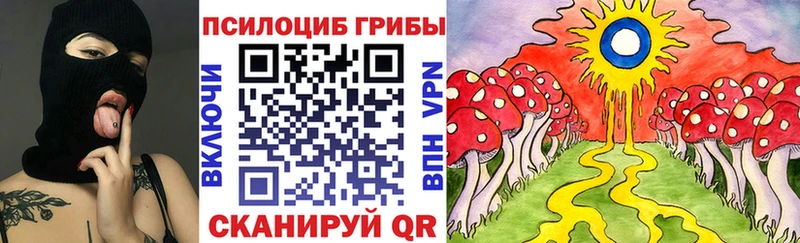 Псилоцибиновые грибы GOLDEN TEACHER  мега маркетплейс  Брянск 