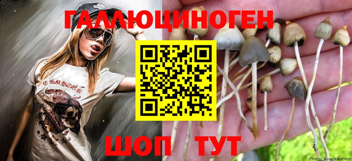 Галлюциногенные грибы Cubensis  Брянск 