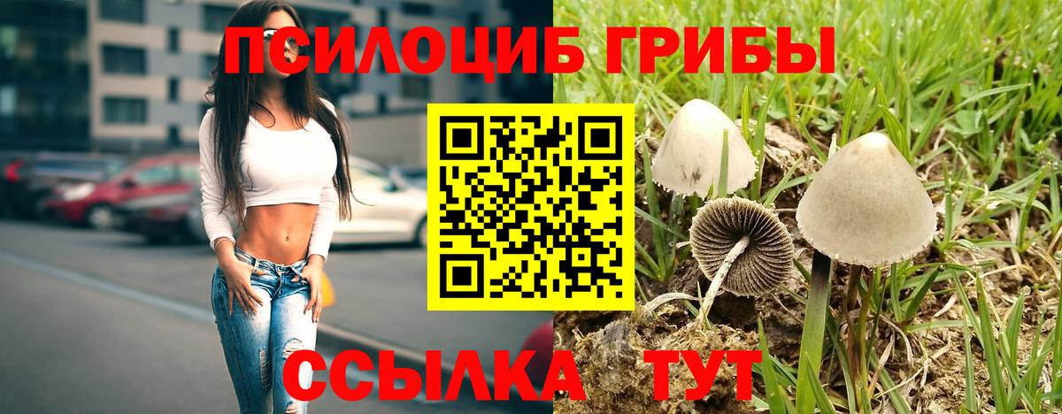 Галлюциногенные грибы ЛСД  Вход с VPN  Брянск 
