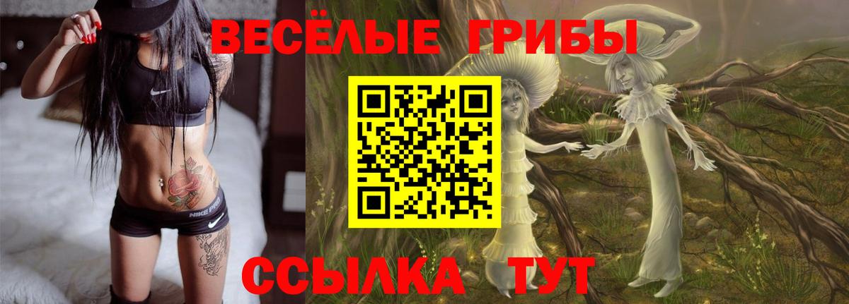 Псилоцибиновые грибы Magic Shrooms Брянск
